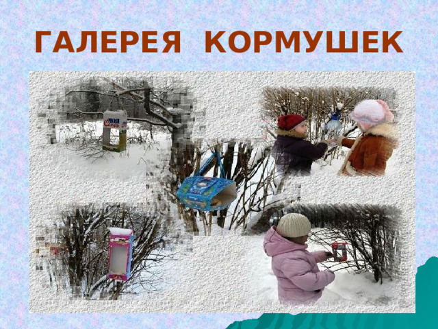 ГАЛЕРЕЯ КОРМУШЕК 