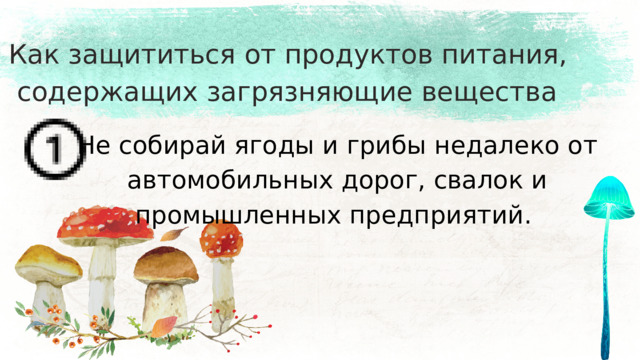 Как защититься от продуктов питания,  содержащих загрязняющие вещества Не собирай ягоды и грибы недалеко от автомобильных дорог, свалок и промышленных предприятий. 