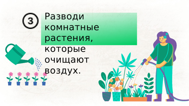 Разводи комнатные растения, которые очищают воздух. 