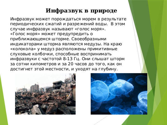 Инфразвук в природе Инфразвук может порождаться морем в результате периодических сжатий и разрежений воды. В этом случае инфразвук называют «голос моря». «Голос моря» может предупредить о приближающемся шторме. Своеобразными индикаторами шторма являются медузы. На краю «колокола» у медуз расположены примитивные слуховые колбочки, способные воспринимать инфразвуки с частотой 8-13 Гц. Они слышат шторм за сотни километров и за 20 часов до того, как он достигнет этой местности, и уходят на глубину. 