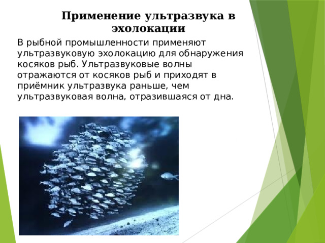 Применение ультразвука в эхолокации В рыбной промышленности применяют ультразвуковую эхолокацию для обнаружения косяков рыб. Ультразвуковые волны отражаются от косяков рыб и приходят в приёмник ультразвука раньше, чем ультразвуковая волна, отразившаяся от дна. 