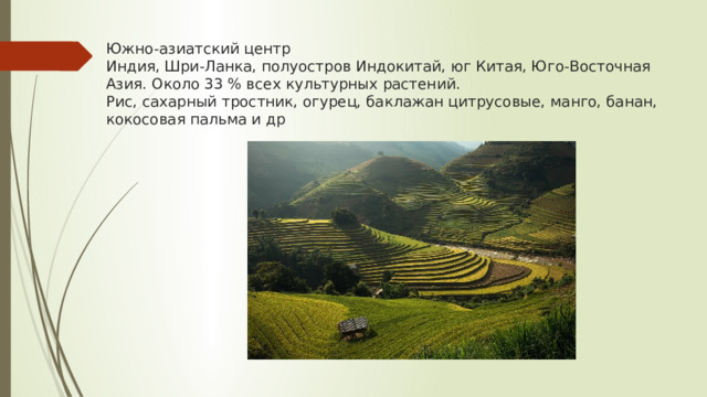 Южно-азиатский центр  Индия, Шри-Ланка, полуостров Индокитай, юг Китая, Юго-Восточная Азия. Около 33 % всех культурных растений.  Рис, сахарный тростник, огурец, баклажан цитрусовые, манго, банан, кокосовая пальма и др   