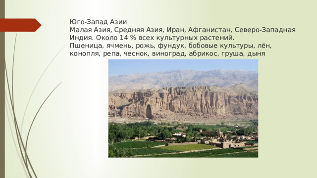 Юго-Запад Азии  Малая Азия, Средняя Азия, Иран, Афганистан, Северо-Западная Индия. Около 14 % всех культурных растений.  Пшеница, ячмень, рожь, фундук, бобовые культуры, лён, конопля, репа, чеснок, виноград, абрикос, груша, дыня   