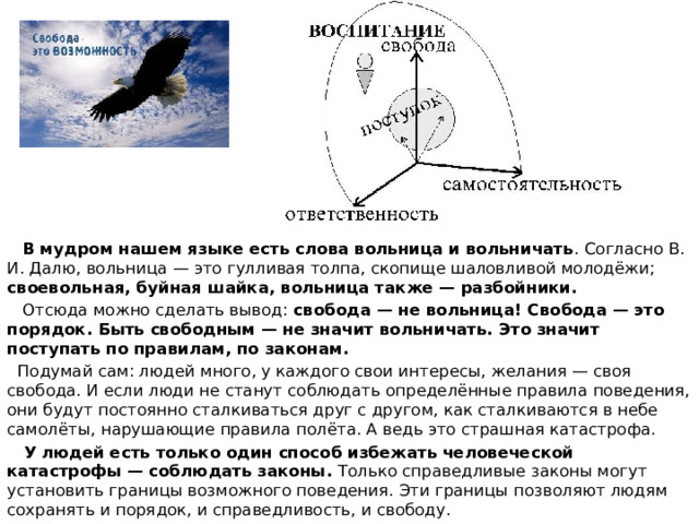  В мудром нашем языке есть слова вольница и вольничать . Согласно В. И. Далю, вольница — это гулливая толпа, скопище шаловливой молодёжи; своевольная, буйная шайка, вольница также — разбойники.  Отсюда можно сделать вывод: свобода — не вольница! Свобода — это порядок. Быть свободным — не значит вольничать. Это значит поступать по правилам, по законам.  Подумай сам: людей много, у каждого свои интересы, желания — своя свобода. И если люди не станут соблюдать определённые правила поведения, они будут постоянно сталкиваться друг с другом, как сталкиваются в небе самолёты, нарушающие правила полёта. А ведь это страшная катастрофа.  У людей есть только один способ избежать человеческой катастрофы — соблюдать законы. Только справедливые законы могут установить границы возможного поведения. Эти границы позволяют людям сохранять и порядок, и справедливость, и свободу. 