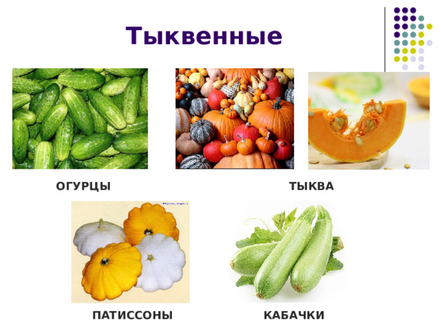 Тыквенные ОГУРЦЫ ТЫКВА ПАТИССОНЫ КАБАЧКИ 