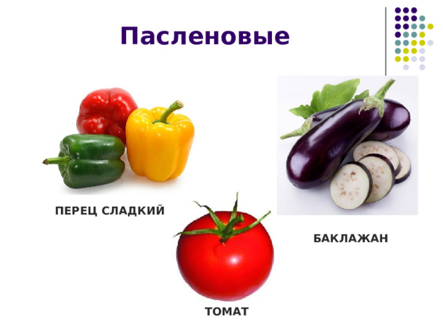 Пасленовые ПЕРЕЦ СЛАДКИЙ БАКЛАЖАН ТОМАТ 