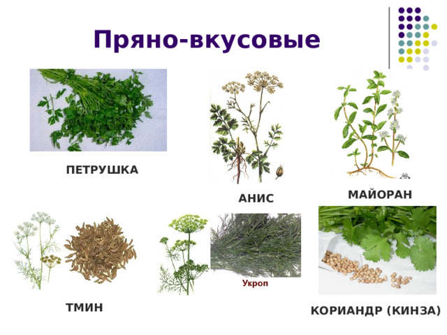 Пряно-вкусовые ПЕТРУШКА МАЙОРАН АНИС ТМИН КОРИАНДР (КИНЗА) 