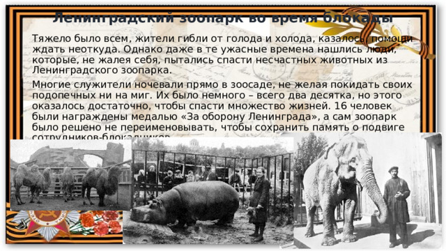 Ленинградский зоопарк во время блокады Тяжело было всем, жители гибли от голода и холода, казалось, помощи ждать неоткуда. Однако даже в те ужасные времена нашлись люди, которые, не жалея себя, пытались спасти несчастных животных из Ленинградского зоопарка. Многие служители ночевали прямо в зоосаде, не желая покидать своих подопечных ни на миг. Их было немного – всего два десятка, но этого оказалось достаточно, чтобы спасти множество жизней. 16 человек были награждены медалью «За оборону Ленинграда», а сам зоопарк было решено не переименовывать, чтобы сохранить память о подвиге сотрудников-блокадников. 