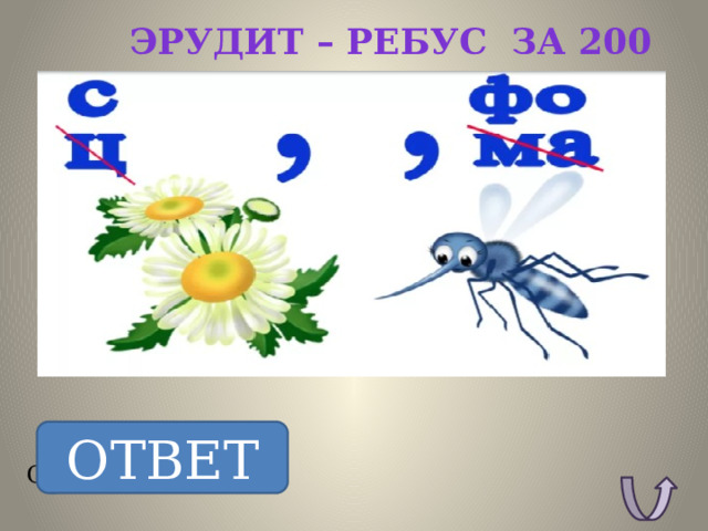 Эрудит – ребус за 200 ОТВЕТ ОТВЕТ: Светофор. 