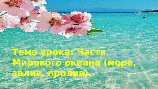 Тема урока: Части Мирового океана (море, залив, пролив). 