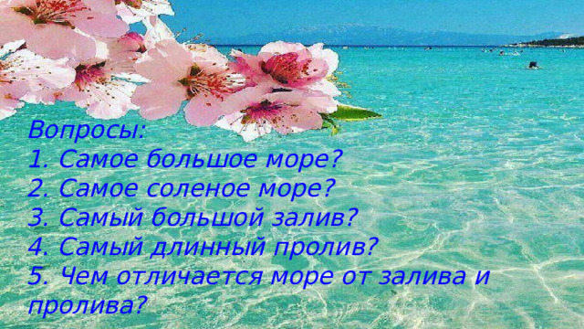 Вопросы: 1. Самое большое море? 2. Самое соленое море? 3. Самый большой залив? 4. Самый длинный пролив? 5. Чем отличается море от залива и пролива? 