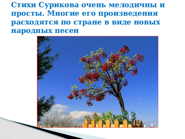 Стихи Сурикова очень мелодичны и просты. Многие его произведения расходятся по стране в виде новых народных песен 