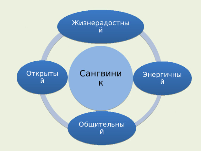 Жизнерадостный Сангвиник Открытый Энергичный Общительный 