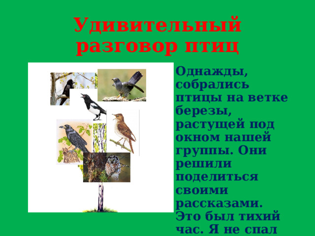Удивительный разговор птиц Однажды, собрались птицы на ветке березы, растущей под окном нашей группы. Они решили поделиться своими рассказами. Это был тихий час. Я не спал и услышал их разговор 