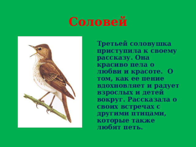 Соловей Третьей соловушка приступила к своему рассказу. Она красиво пела о любви и красоте. О том, как ее пение вдохновляет и радует взрослых и детей вокруг. Рассказала о своих встречах с другими птицами, которые также любят петь. 