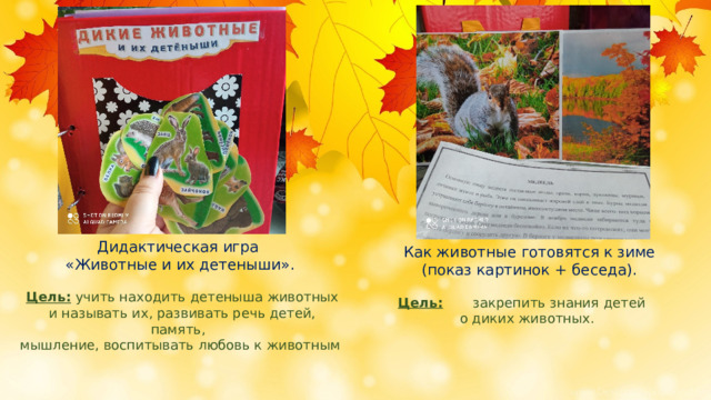 Дидактическая игра «Животные и их детеныши».  Цель: учить находить детеныша животных  и называть их, развивать речь детей, память, мышление, воспитывать любовь к животным  Как животные готовятся к зиме  (показ картинок + беседа).  Цель: закрепить знания детей   о диких животных. 