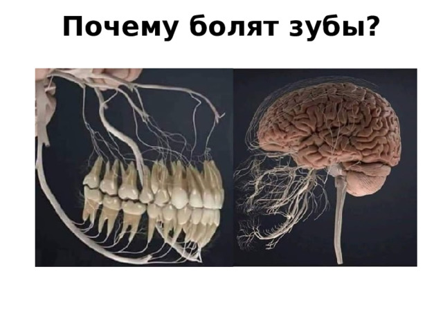 Почему болят зубы?   