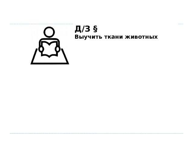 Д/З § Выучить ткани животных  