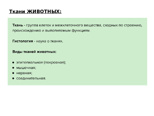 Ткани ЖИВОТНЫХ: 