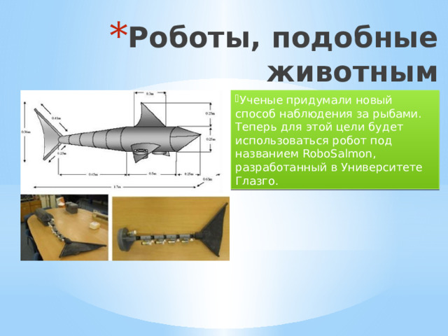 Роботы, подобные животным Ученые придумали новый способ наблюдения за рыбами. Теперь для этой цели будет использоваться робот под названием RoboSalmon, разработанный в Университете Глазго. 
