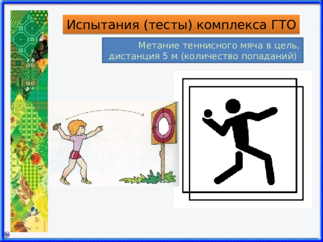 Испытания (тесты) комплекса ГТО Метание теннисного мяча в цель,  дистанция 5 м (количество попаданий) 