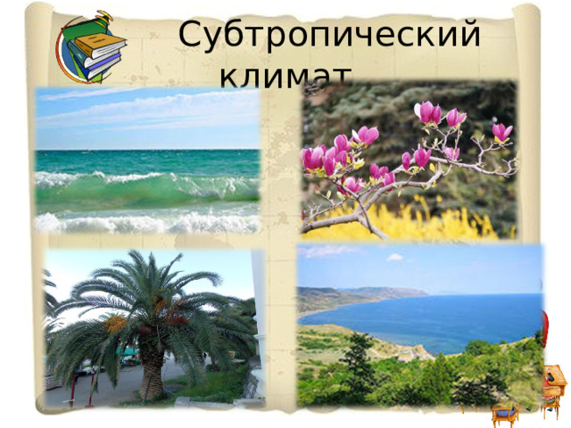  Субтропический климат 