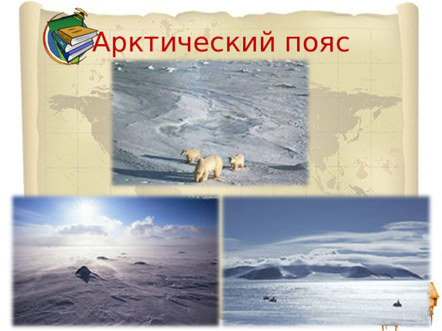 Арктический пояс 