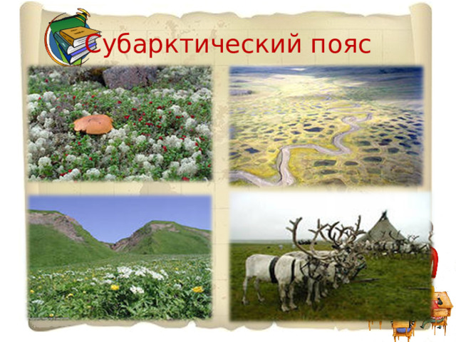 Субарктический пояс 