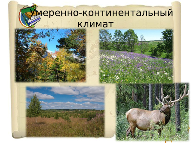  Умеренно-континентальный климат 