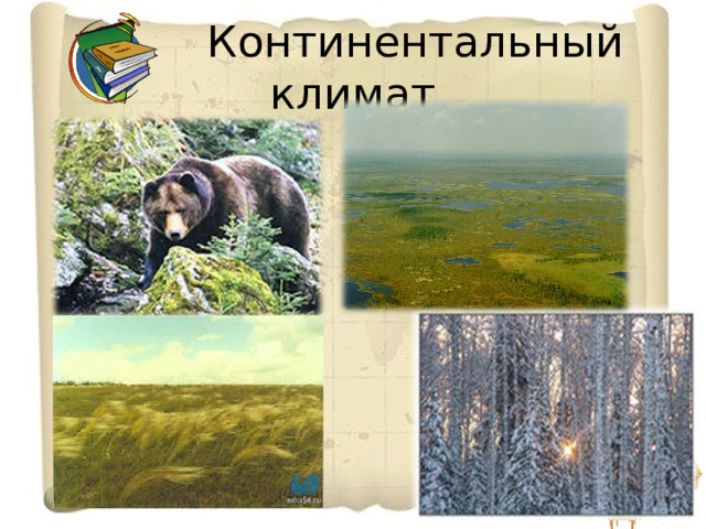  Континентальный климат 