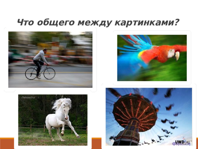  Что общего между картинками? 