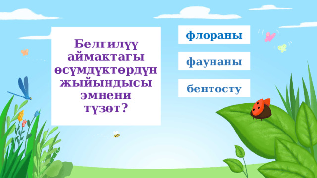 флораны Белгилүү аймактагы өсүмдүктөрдүн жыйындысы эмнени  түзөт? фаунаны бентосту 