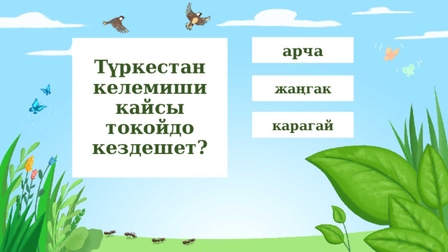 арча Түркестан келемиши кайсы токойдо кездешет? жаңгак карагай 