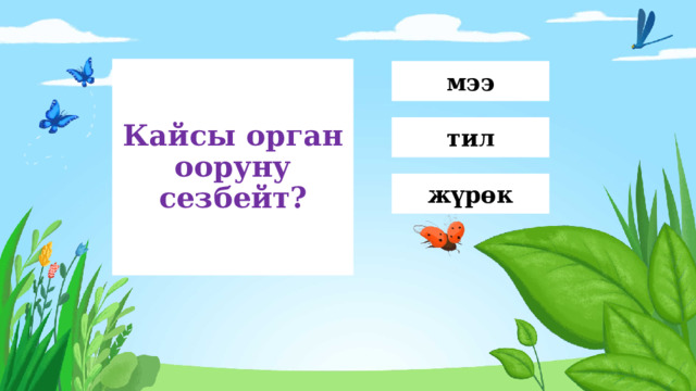 Кайсы орган ооруну сезбейт? мээ тил жүрөк 