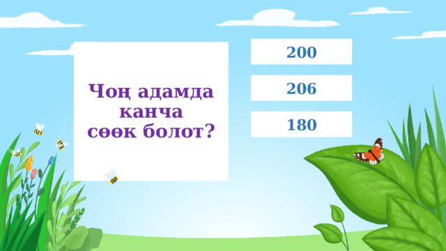 200 Чоң адамда канча  сөөк болот? 206 180 