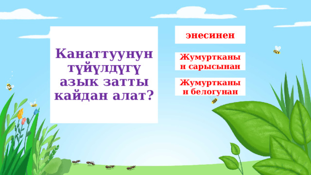 энесинен Канаттуунун  түйүлдүгү  азык затты кайдан алат? Жумуртканын сарысынан Жумуртканын белогунан 