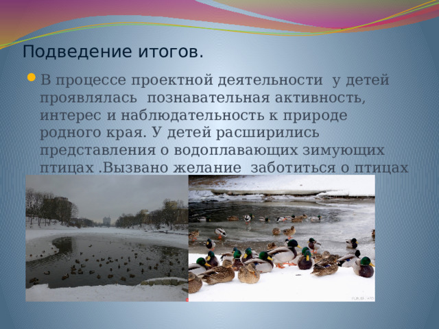 Подведение итогов. В процессе проектной деятельности у детей проявлялась познавательная активность, интерес и наблюдательность к природе родного края. У детей расширились представления о водоплавающих зимующих птицах .Вызвано желание заботиться о птицах зимой. 