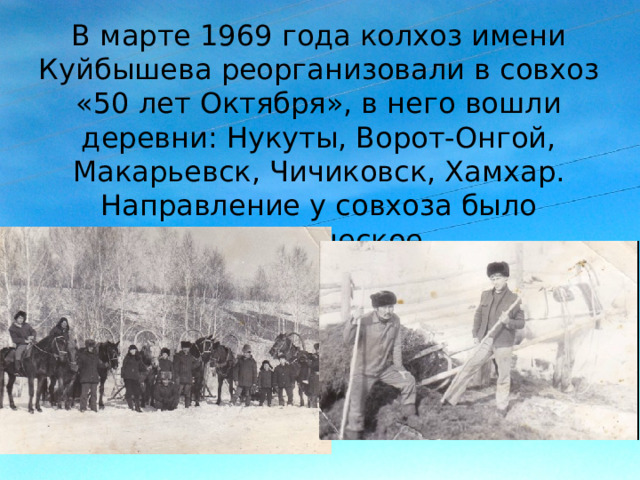 В марте 1969 года колхоз имени Куйбышева реорганизовали в совхоз «50 лет Октября», в него вошли деревни: Нукуты, Ворот-Онгой, Макарьевск, Чичиковск, Хамхар. Направление у совхоза было овцеводческое. В начале 70-х появились 2 фермы для КРС, строились новые кошары, приобретали племенных овец. 