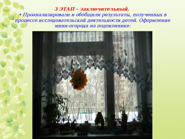 3 ЭТАП – заключительный.  • Проанализировали и обобщили результаты, полученных в процессе исследовательской деятельности детей. Оформление мини-огорода на подоконнике:   