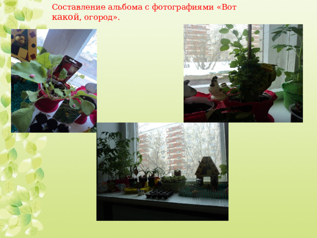 Составление альбома с фотографиями «Вот какой , огород». 