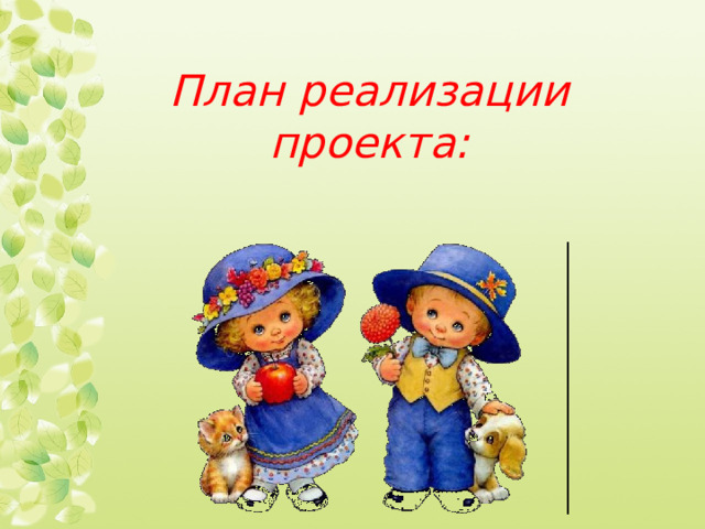 План реализации проекта: 