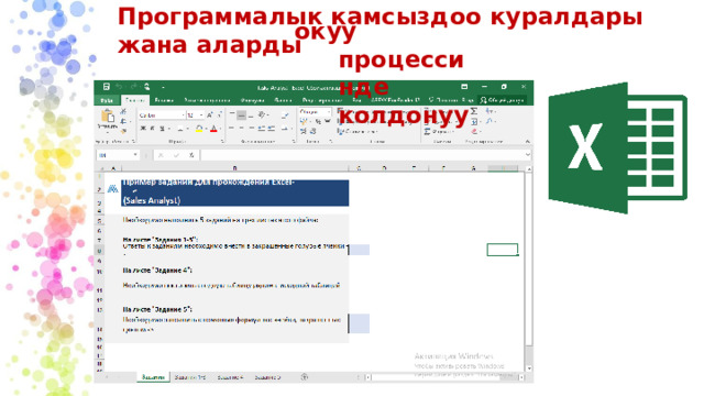 Программалык камсыздоо куралдары жана аларды окуу процессинде колдонуу 