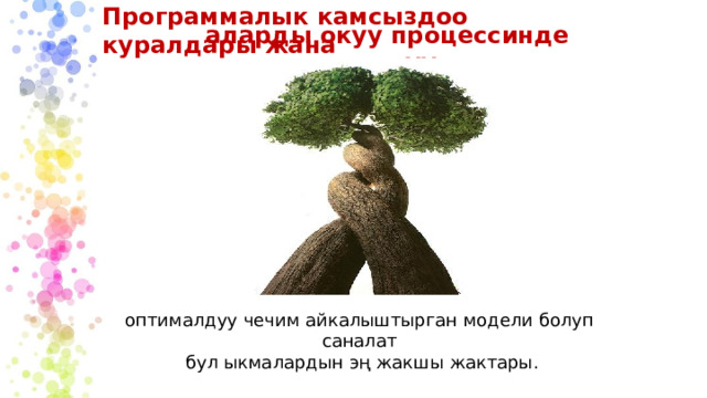 Программалык камсыздоо куралдары жана аларды окуу процессинде колдонуу оптималдуу чечим айкалыштырган модели болуп саналат бул ыкмалардын эң жакшы жактары. 
