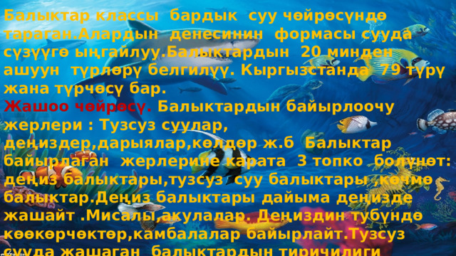 Балыктар классы бардык суу чөйрөсүндө тараган.Алардын денесинин формасы сууда сүзүүгө ыңгайлуу.Балыктардын 20 минден ашуун түрлөрү белгилүү. Кыргызстанда 79 түрү жана түрчөсү бар. Жашоо чөйрөсү. Балыктардын байырлоочу жерлери : Тузсуз суулар, деңиздер,дарыялар,көлдөр ж.б Балыктар байырлаган жерлерине карата 3 топко болүнөт: деңиз балыктары,тузсуз суу балыктары ,көчмө балыктар.Деңиз балыктары дайыма деңизде жашайт .Мисалы,акулалар. Деңиздин тубүндө көөкөрчөктөр,камбалалар байырлайт.Тузсуз сууда жашаган балыктардын тиричилиги көлмөлөрдө,дарыяда,агын сууларда өтөт. Көчмө балыктар көбөйүү үчүн дарыяга чыгат же дарыядан деңизге өтөт.  