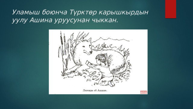 Уламыш боюнча Түрктөр карышкырдын уулу Ашина уруусунан чыккан. 