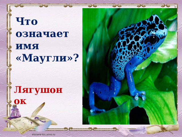 Что означает имя «Маугли»? Лягушонок 