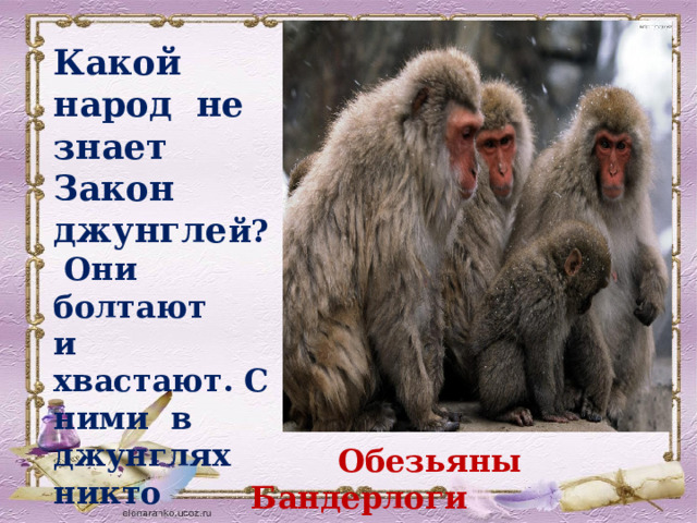 Какой народ не знает Закон джунгле й? Они болтают и хвастают. С ними в джунглях никто не водится.   Обезьяны Бандерлоги 