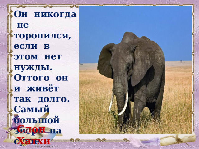 Он никогда не торопился, если в этом нет нужды. Оттого он и живёт так долго. Самый большой зверь на суше. Слон Хатхи 