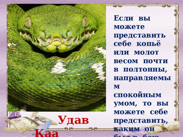Если вы можете представить себе копьё или молот весом почти в полтонны, направляемым спокойным умом, то вы можете себе представить, каким он был в бою.  Удав Каа 