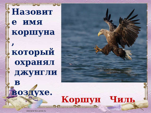 Назовите имя коршуна, который охранял джунгли в воздухе. Коршун Чиль 